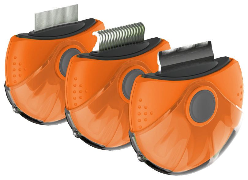 570494031