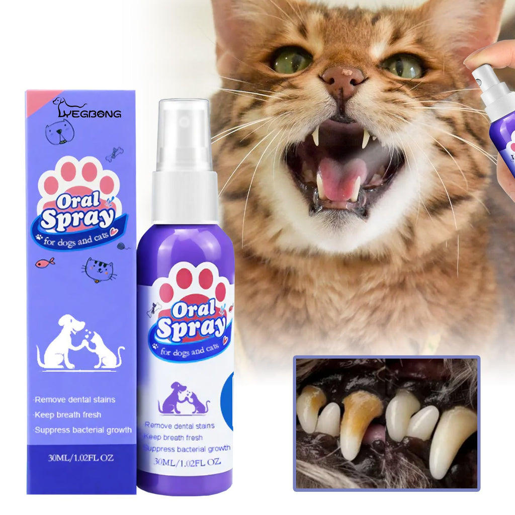 570469321