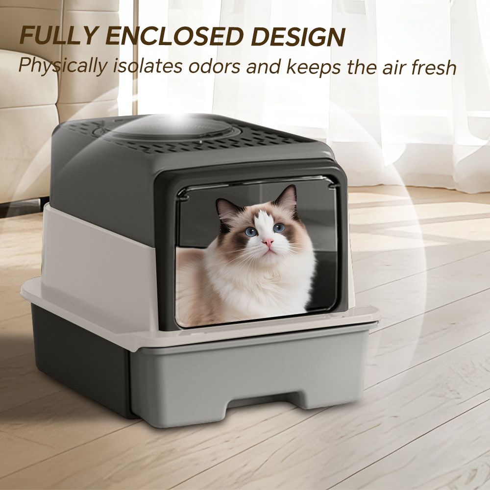 570469251