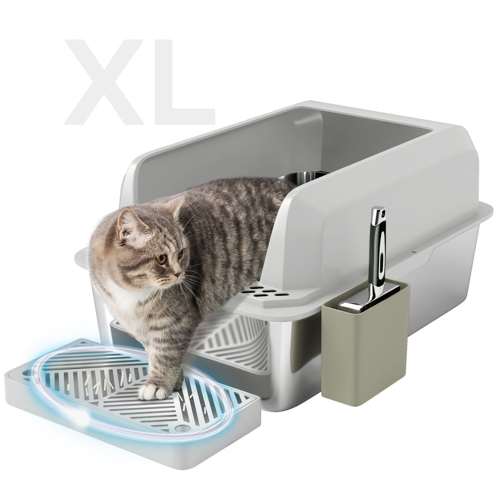 570450461