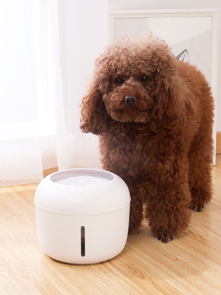 570422161