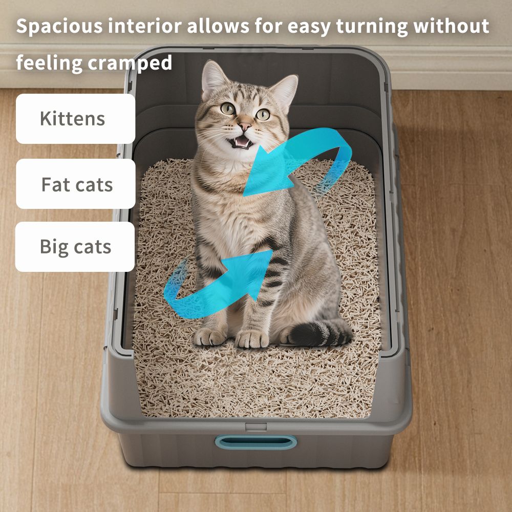 570504381